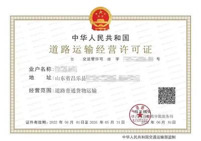 山东省第一张道路运输电子证照成功发放