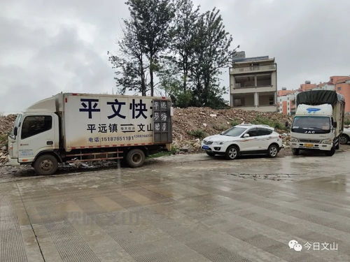 马路变成货车 停车场 危险